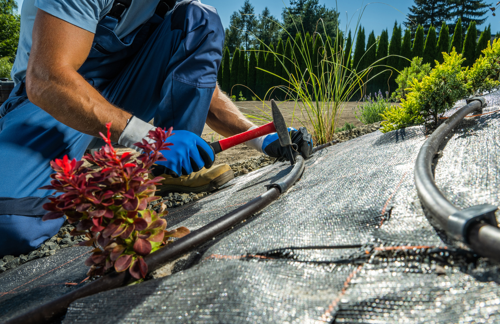 Backyard Garden Drip Irrigation Installation